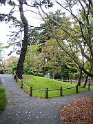 San Fran Vacation 104